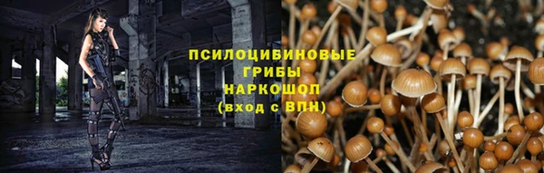 бошки Арсеньев