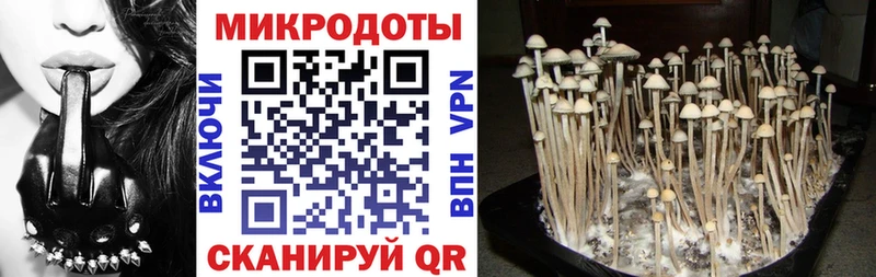 Галлюциногенные грибы прущие грибы  МЕГА ССЫЛКА  Свободный 