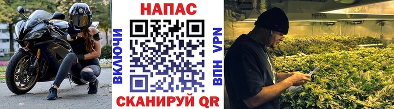 мориарти Telegram  купить наркоту  Свободный  Бошки марихуана White Widow  мега ТОР 